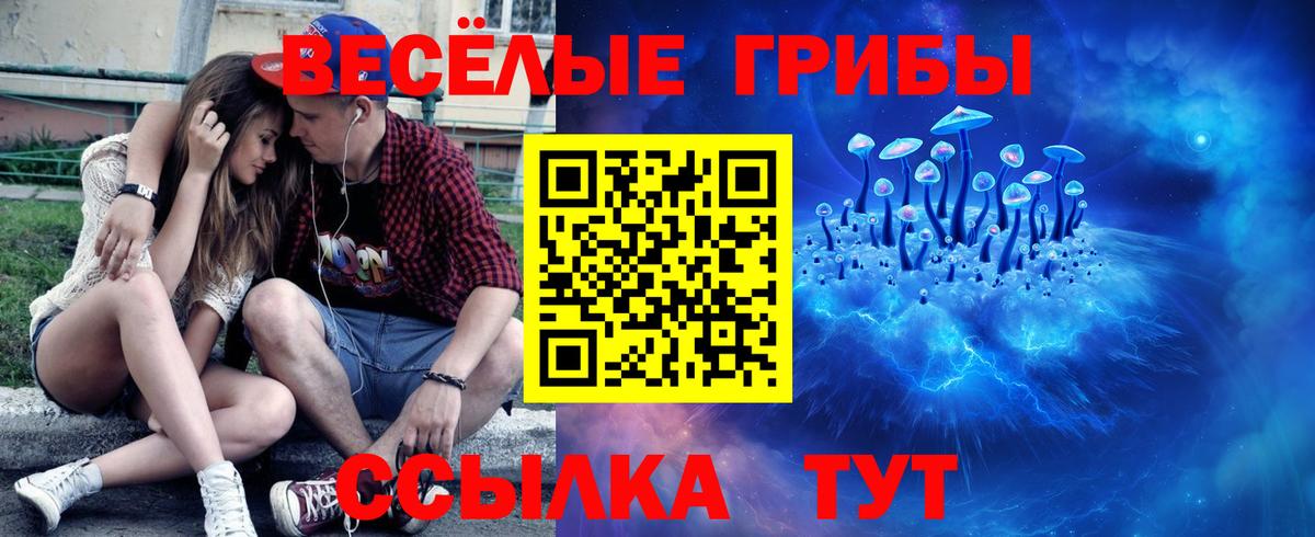 Волхов  Галлюциногенные грибы MAGIC MUSHROOMS  Вход с VPN 